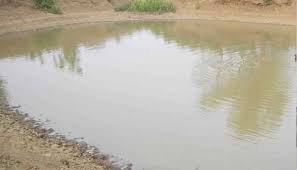 World Environment Day