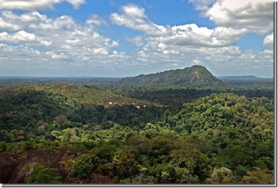 विजयवाड़ा कोविड सेंटर में लगी आग विजयवाड़ा कोविड सेंटर में लगी आग